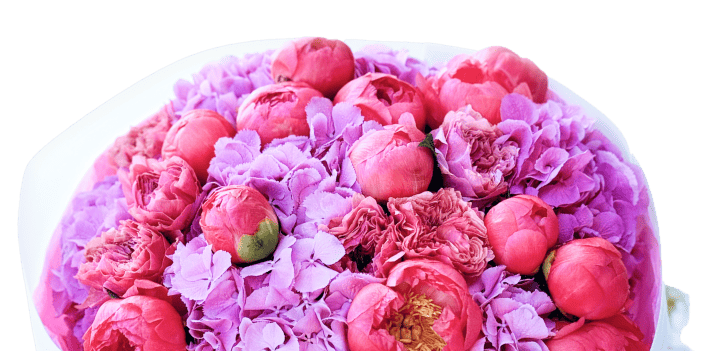 Footer Image
