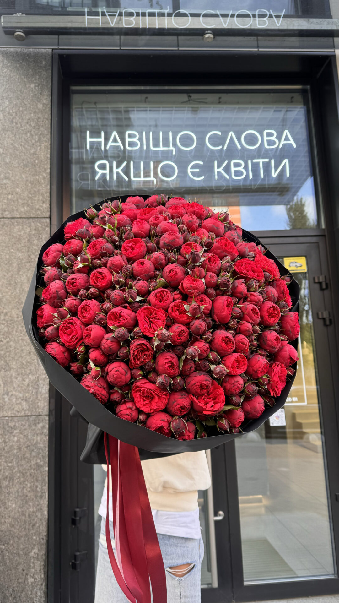Червона кущова троянда - Зображення 2