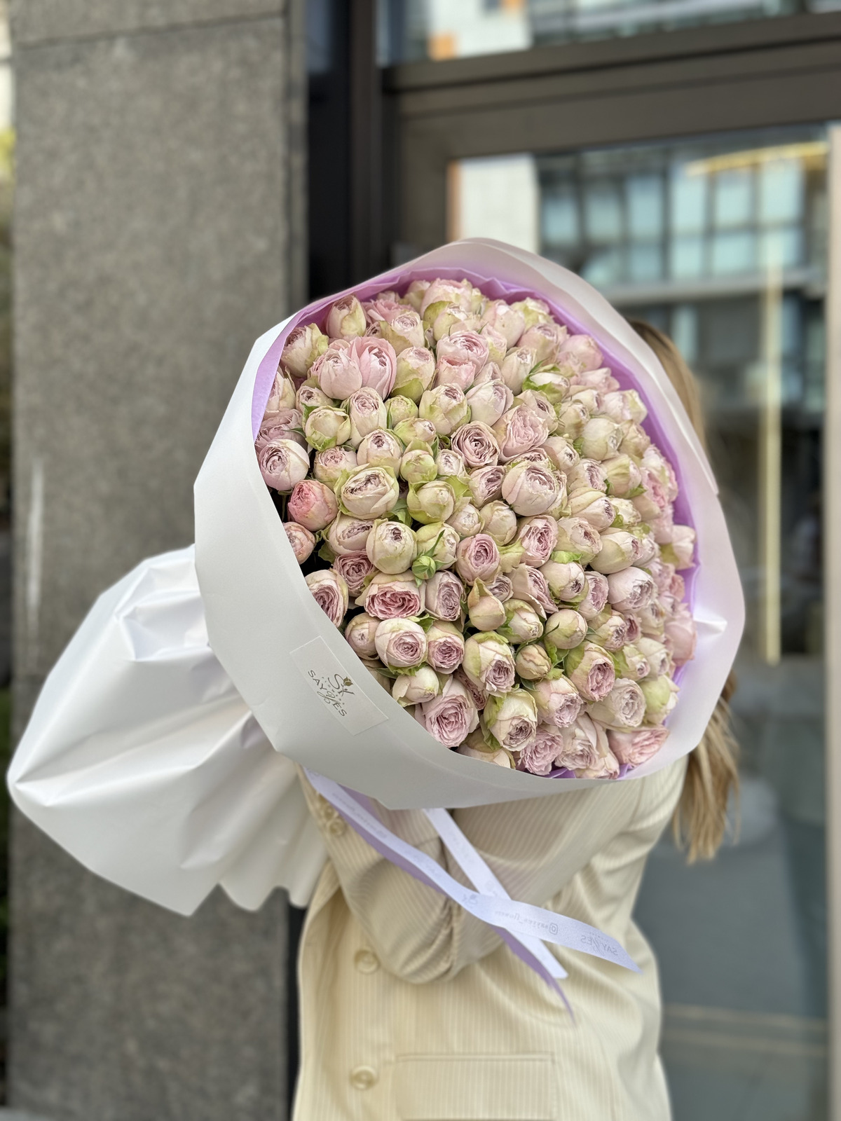 Світло-лавандова кущова троянда - Зображення 3